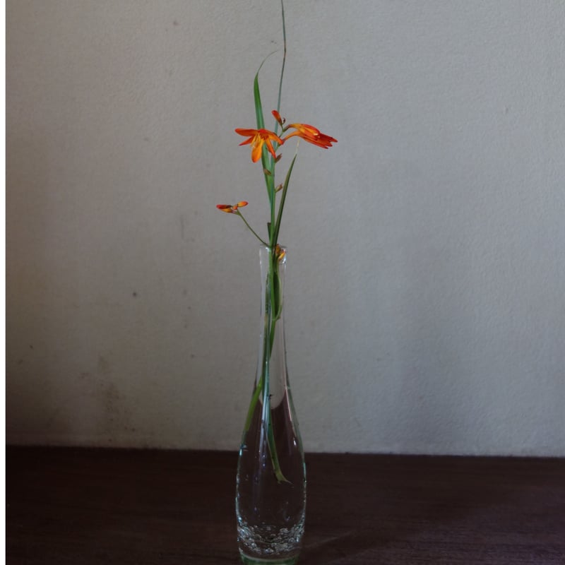 Akemi Kaminaga 琵琶湖彩吹きガラス花器 | g's gallery