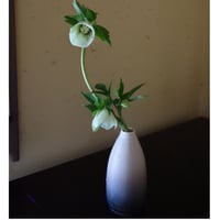 Ryuji Iwasaki Tsubaki 花器