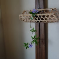 Yoshimichi Yoshida 吉田佳道 櫛目広口竹の花入 | g's gallery