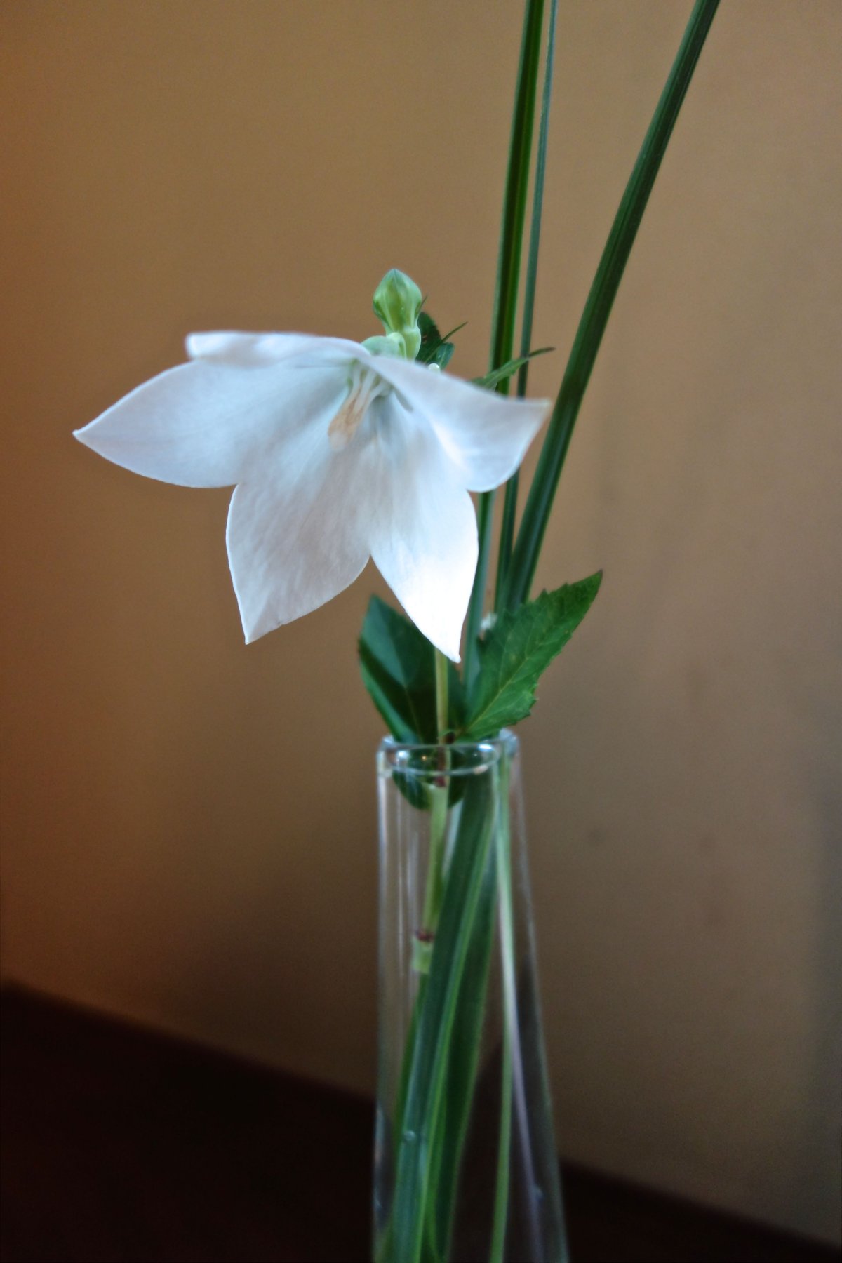 Kaori Kawanabe 吹きガラス鶴首花器 | g's gallery