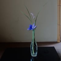 Akemi Kaminaga 琵琶湖彩吹きガラス花器