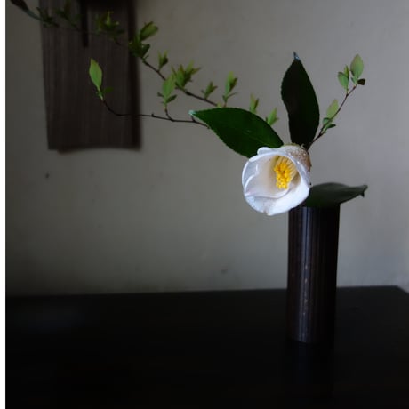 CATEGORY Yoshimichi Yoshida 竹工芸 花入れ 吉田佳道 | g's