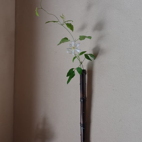 Yoshimichi Yoshida 吉田佳道　黒竹掛け花