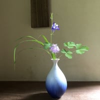 Ryuji Iwasaki 紫匂花入れ