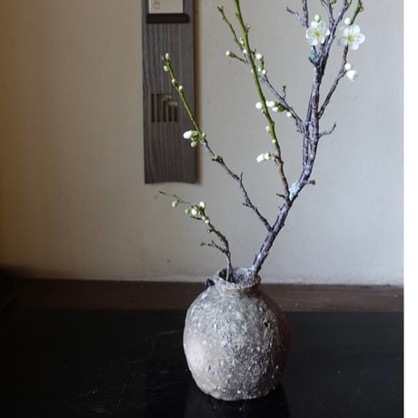 Q Tani 蹲掛花入れ　谷穹