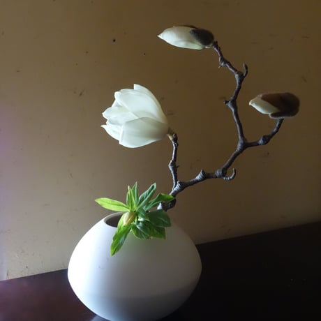 有馬和博 | STORES