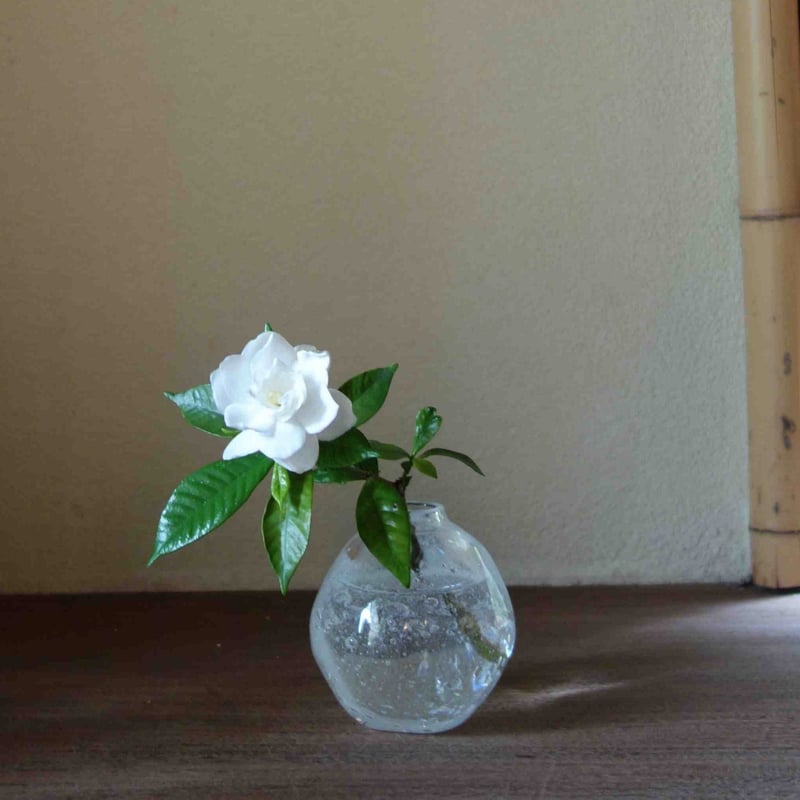 Kaori Kawanabe 吹きガラス一輪挿し | g's gallery