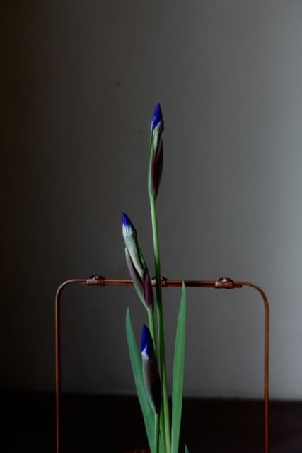 吉田佳道　四ツ目膳　竹工芸 吉田佳道 四ツ目膳 竹工芸 インテリア・生活道具