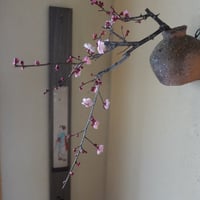 Q Tani 蹲掛花入れ　谷穹