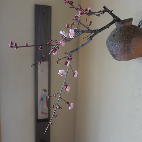 Q Tani 蹲掛花入れ　谷穹