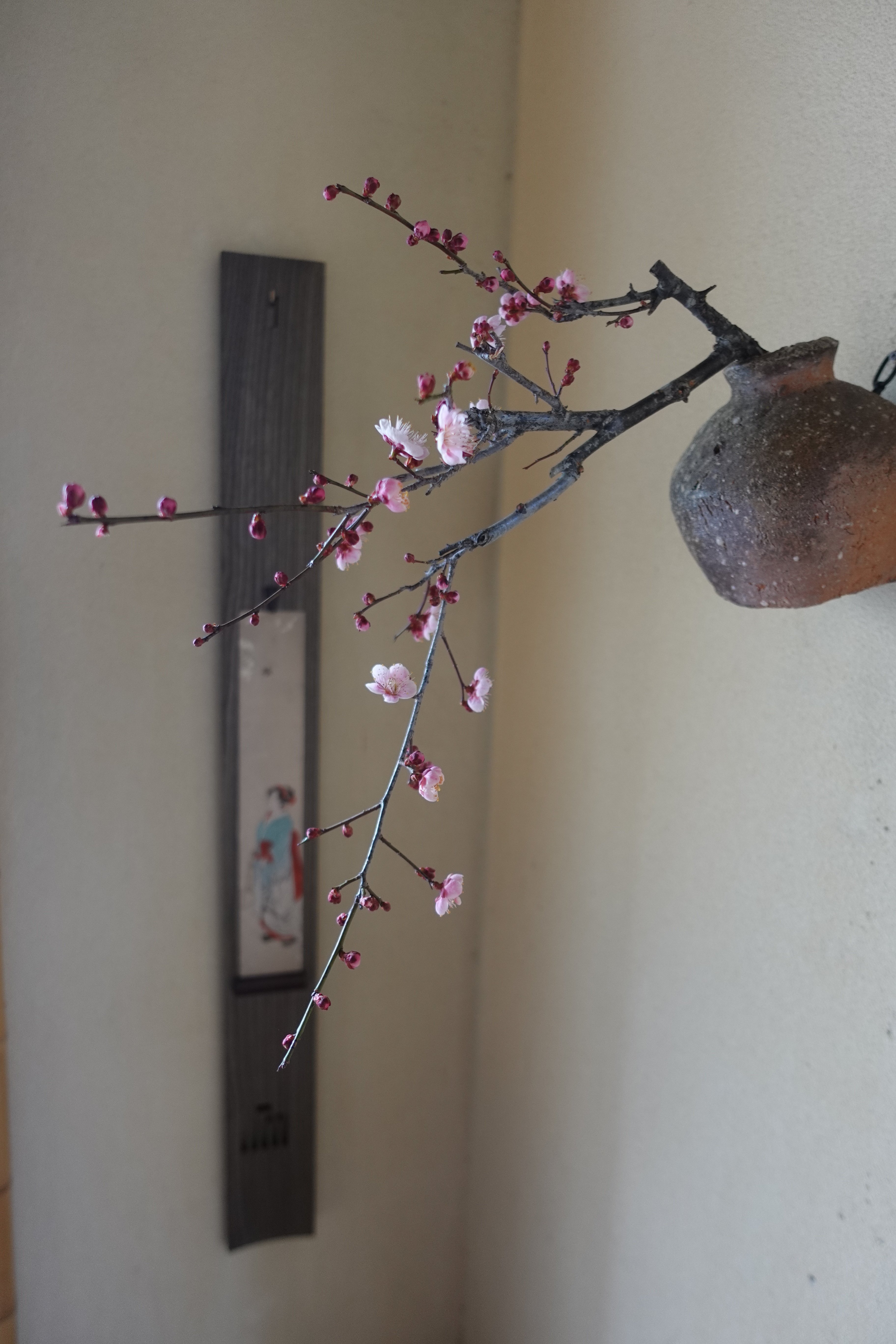 Q Tani 蹲掛花入れ 谷穹 | g's gallery
