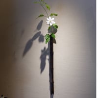 Yoshimichi Yoshida 吉田佳道　黒竹掛け花