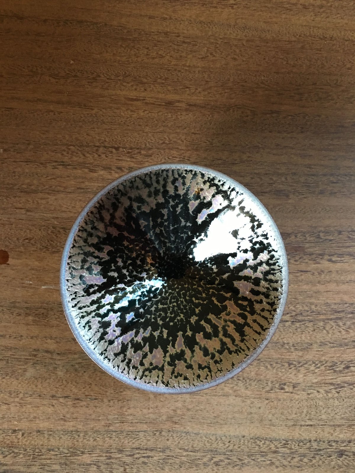 Noriyuki Furutani 天目ぐい呑み | g's gallery