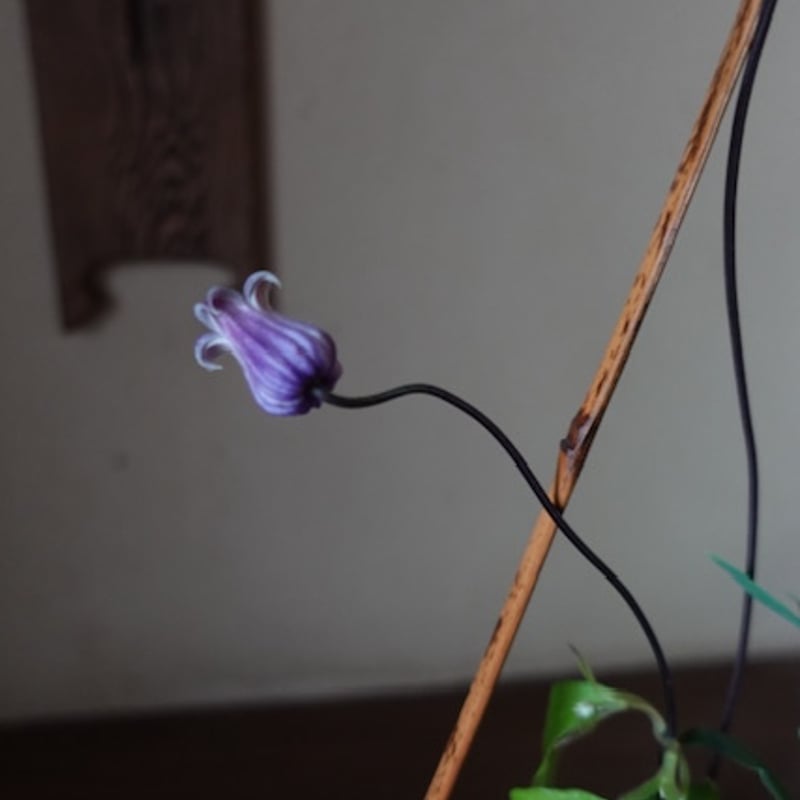 Yoshimichi Yoshida 吉田佳道 竹花籠 天空 | g's gallery