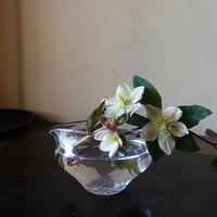 Akemi Kaminaga 神永朱美　吹きガラス金彩片口型鉢