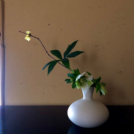 有馬和博 | STORES