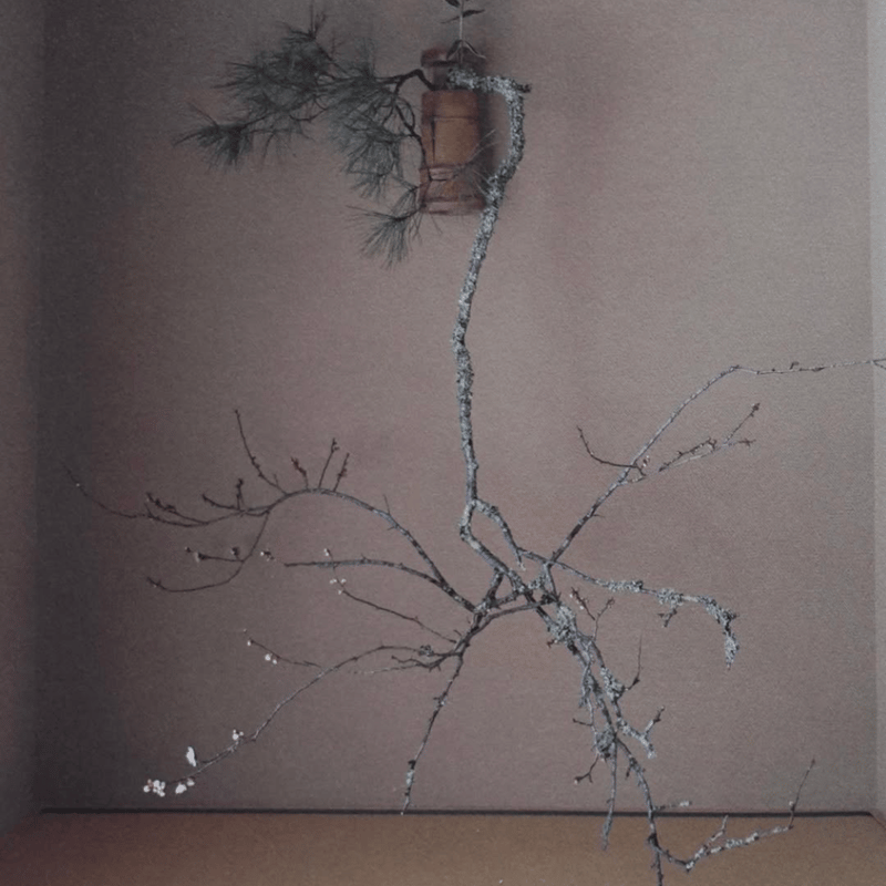 初心の花 並木幸男 書籍 | g's gallery