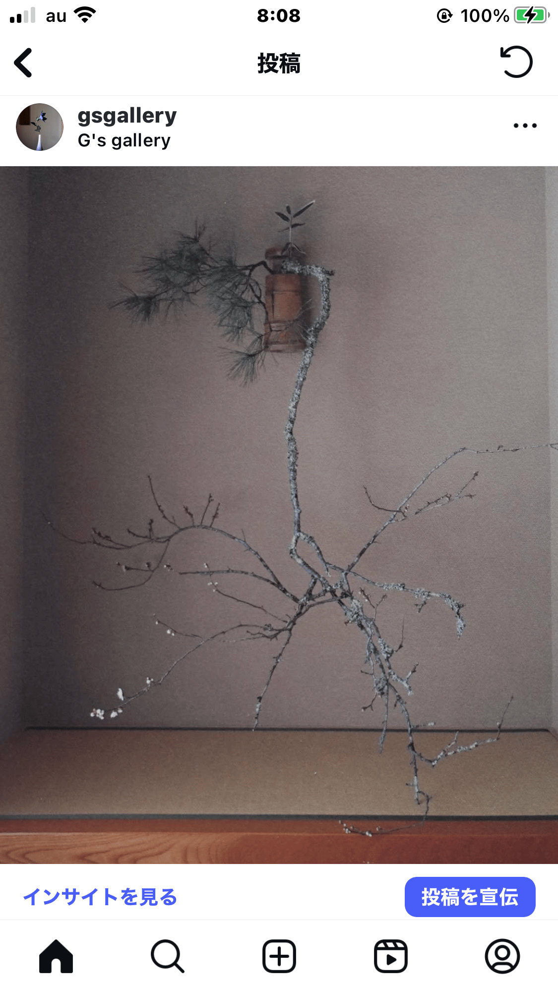 初心の花 並木幸男 書籍 | g's gallery