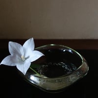 Akemi Kaminaga 琵琶湖彩ガラス水盤