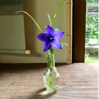 Akemi Kaminaga 琵琶湖彩一輪差し