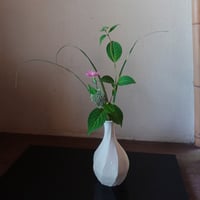 Q Tani 信楽旅枕 (掛花入) | g's gallery