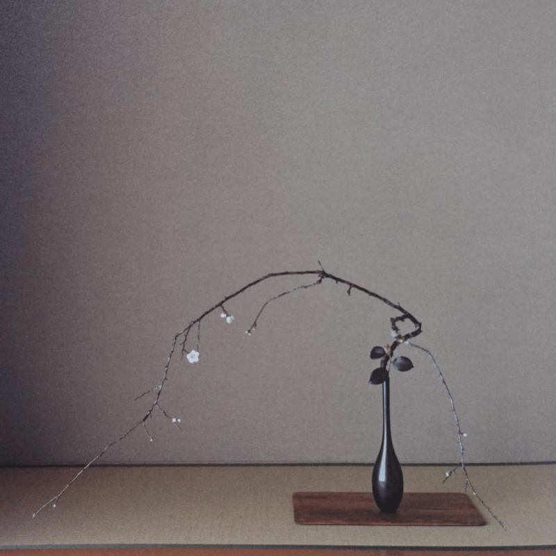 初心の花 並木幸男 書籍 | g's gallery