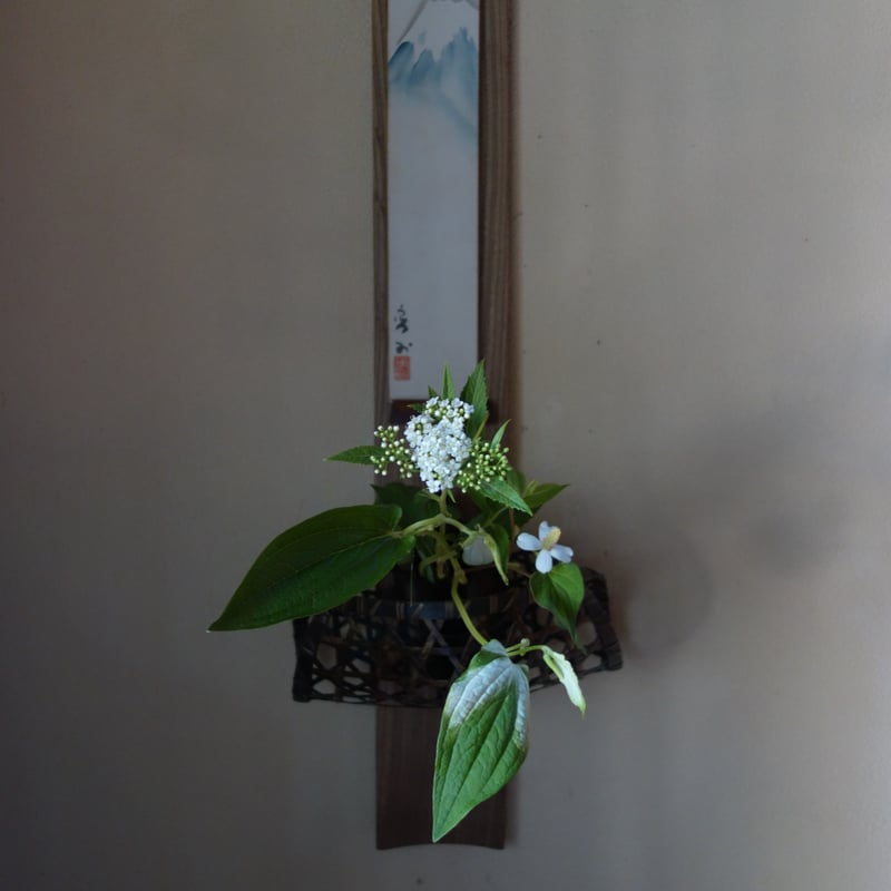 Yoshimichi Yoshida 吉田佳道 ふくろう竹掛け花入 | g's gallery