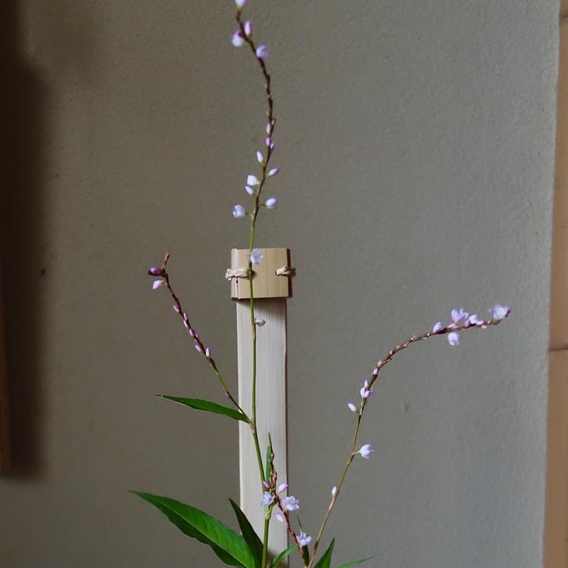 Yoshimichi Yoshida 吉田佳道 四角竹掛花入れ mado III | g's