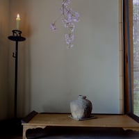 Q Tani 谷穹　蹲　　(桐箱付き)