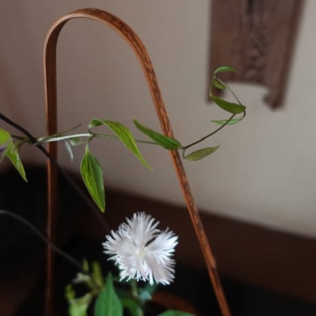 Yoshimichi Yoshida 　吉田佳道　竹花籠　天空