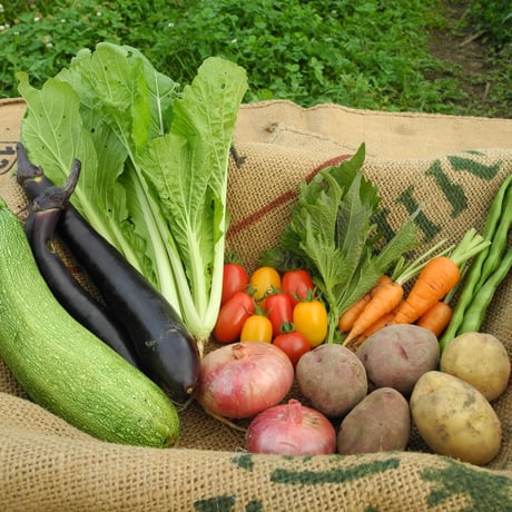 少量野菜セット