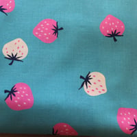 USAコットン○strawberry ○水色○RubyStarSociety○いちご