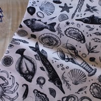 USAコットン○catch of the day◯Robert Kathmandu◯白地・魚