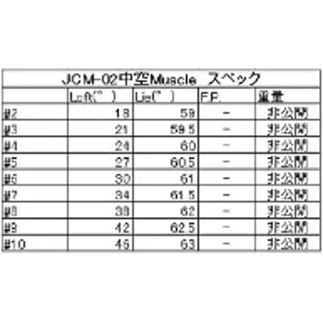 プロ支給品：MOIマッチング専用アイアンJCM-02中空Muscle5-PW6本セット
