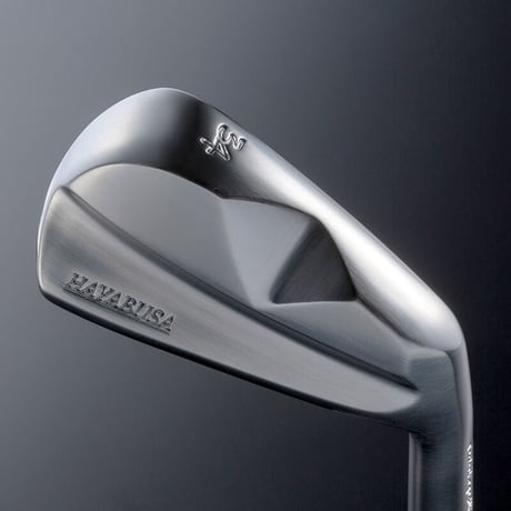 HAYABUSA Iron＆HAYABUSAウェッジ 岩城滉一仕様8本セット