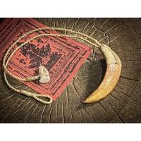 YANT HOG TUSK ネックレス　HT-248