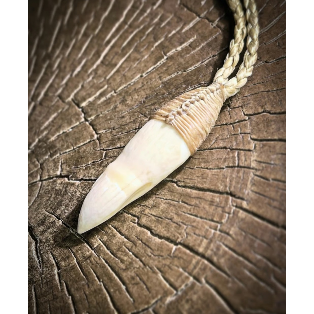 ボーンカービング 鯱歯ネックレス OR-282 | Ocean's Bone Carvings