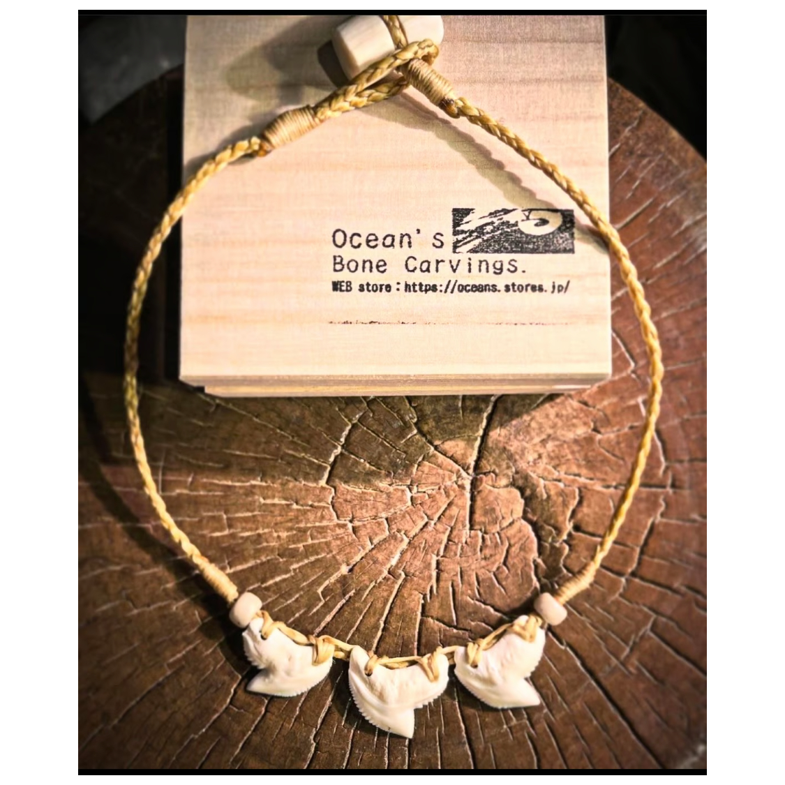 タイガーシャーク歯ネックレスST-267 | Ocean's Bone Carvings