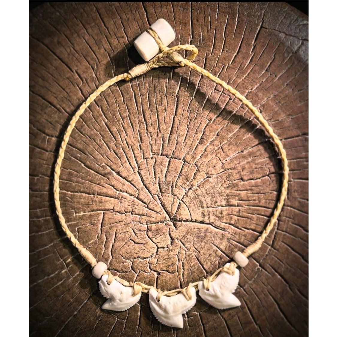 シャチの牙 fit=scale-down,w=1200