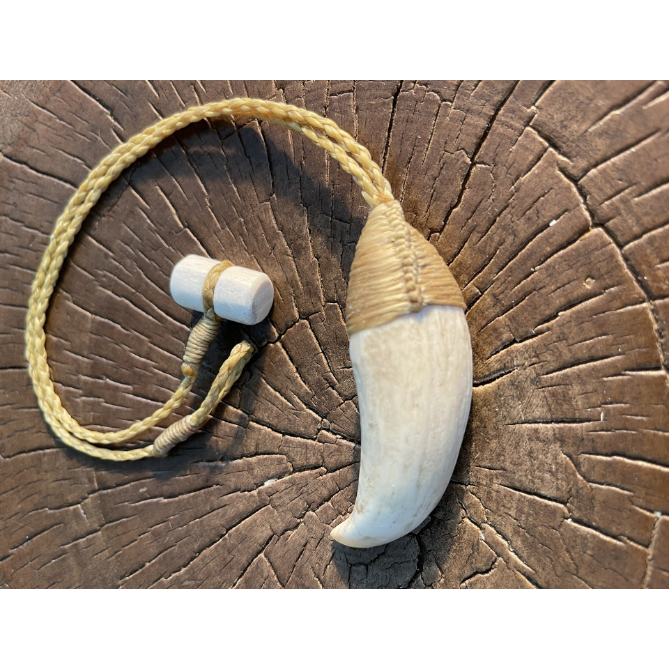 鯨歯 ボーンカービング鯨歯ネックレス WL-243 | Ocean's Bone Carvings