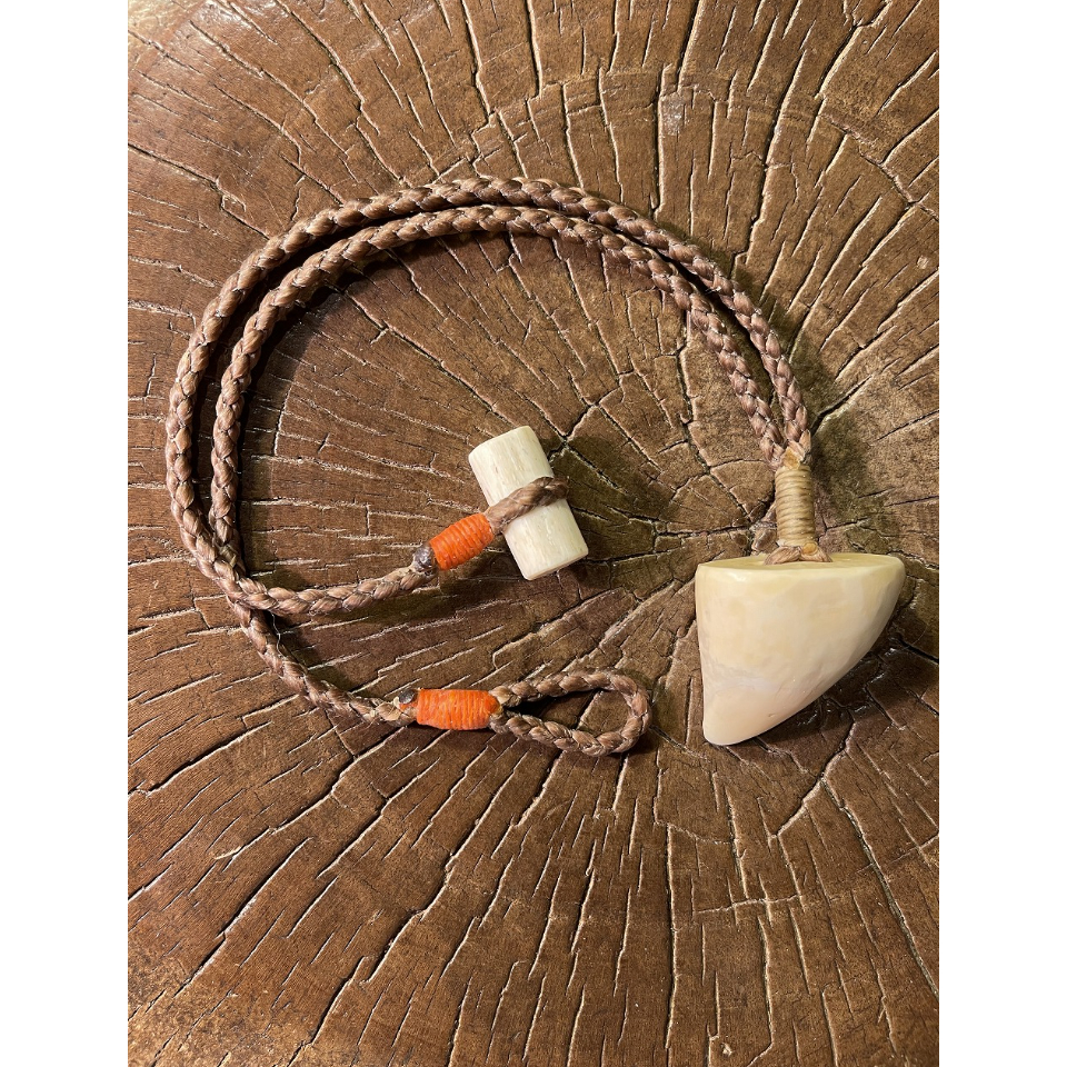 鯨歯（？） fit=scale-down,w=1200