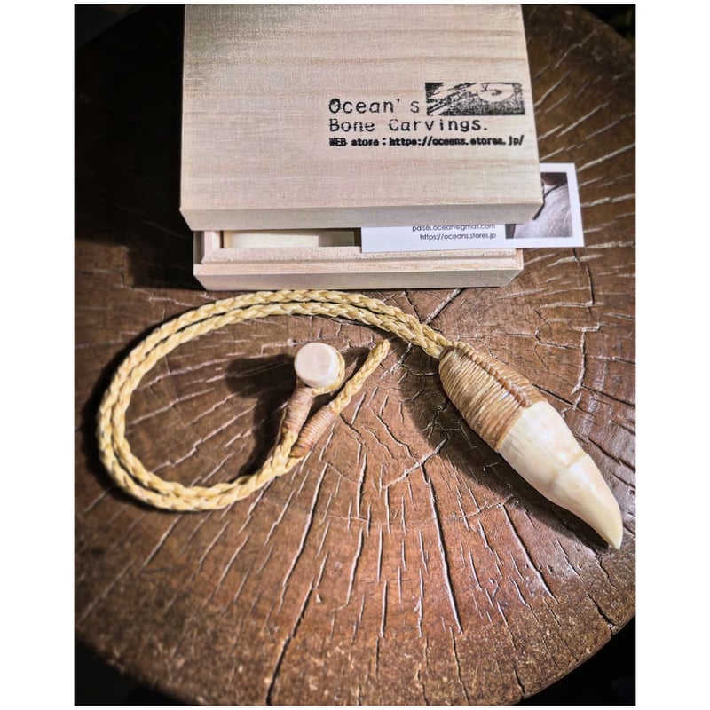 ボーンカービング 鯱歯ネックレス OR-281 | Ocean's Bone Carvings