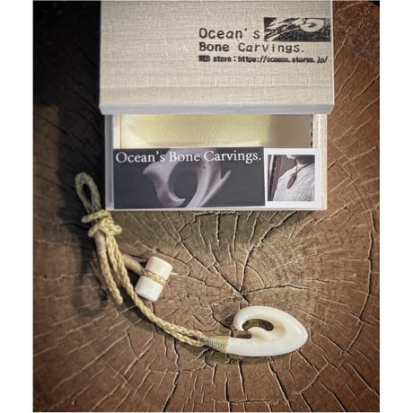 セイウチ | STORES