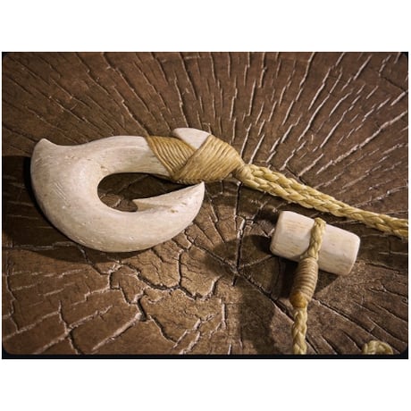 オーシャントレジャー | STORES