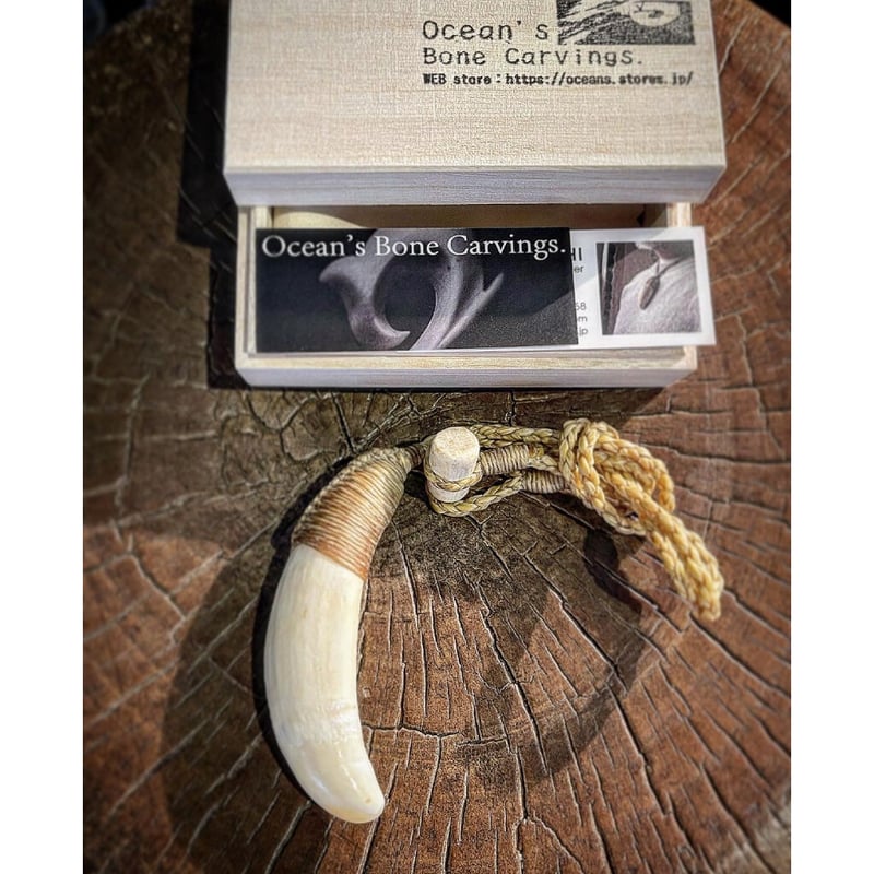 ボーンカービング鯨歯ネックレス WL-219 | Ocean's Bone Carvings