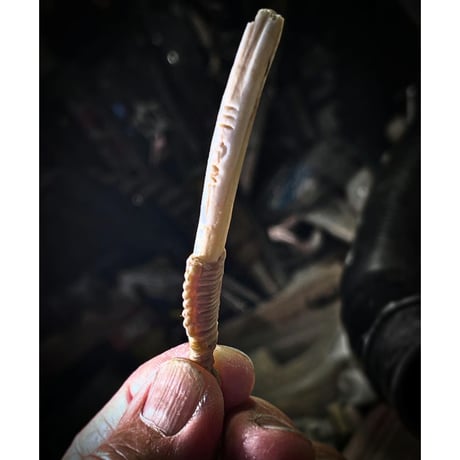 HOG TUSK ネックレス　HT-336