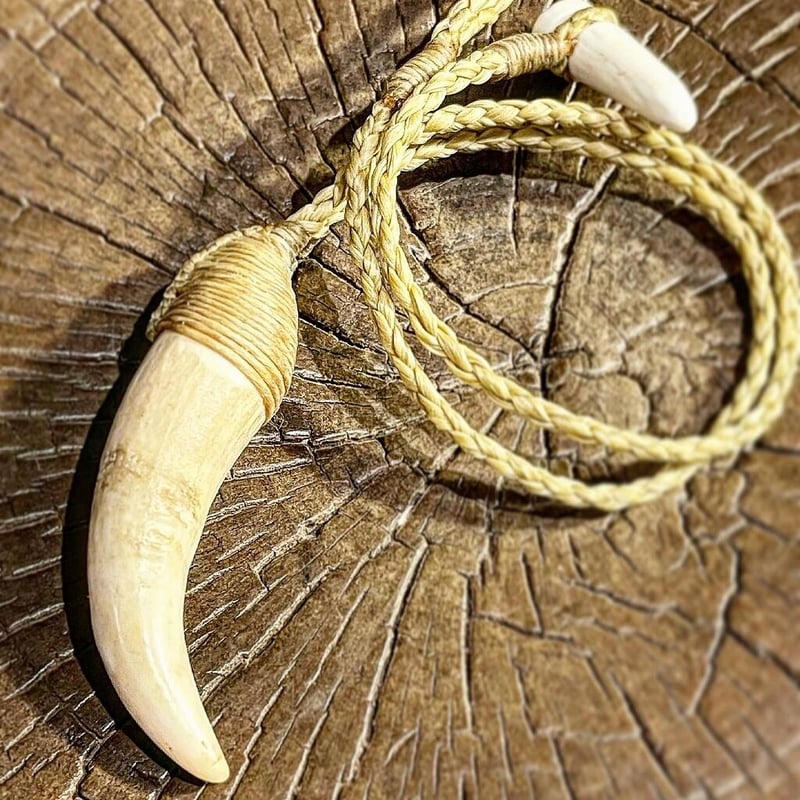 鯨歯 ボーンカービング鯨歯ネックレス WL-323 | Ocean's Bone Carvings