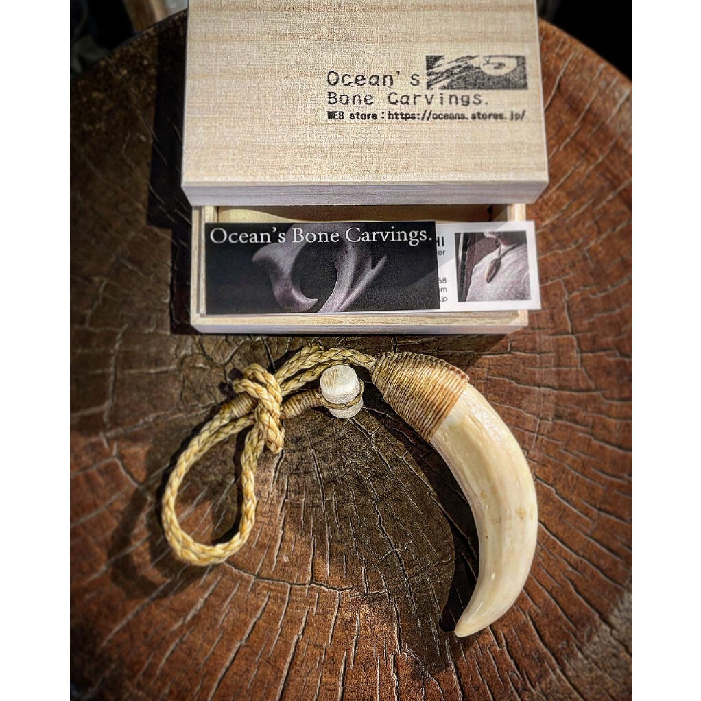 ボーンカービング鯨歯ネックレス WL-218 | Ocean's Bone Carvings ボーンカービング鯨歯ネックレス WL-218 | Ocean's Bone Carvings
