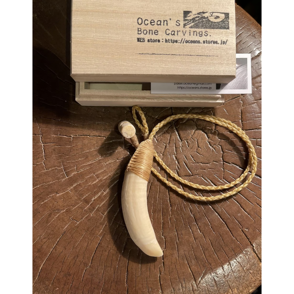 ボーンカービング鯨歯ネックレス WL-258 | Ocean's Bone Carvings