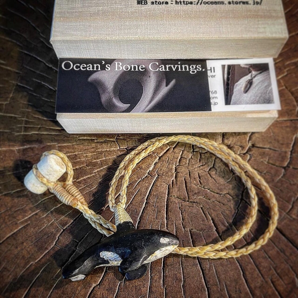 シャチの牙 KAWASAKI ZXR250 ZX250C ZX250A CYLINDER HEAD GASKET 11004